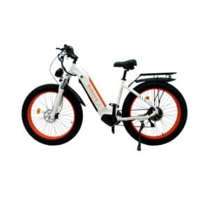 Dakeya Fat Tire Electric Bike DA-08 1000W