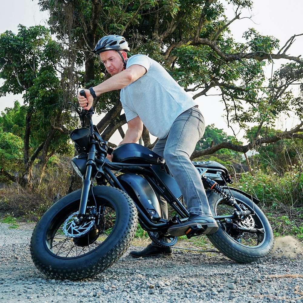 Fat Tire Bike