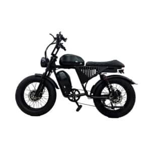 Dakeya DF1 Electric Motorcycle 3000W