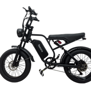 Naexro R8 1000W Fat Tire Electric Bike